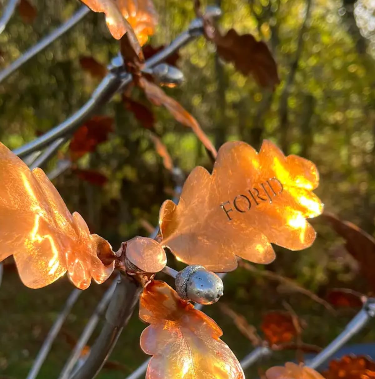 A copper oak leaf on the tree at Willowbrook with FORJD cut through it, lit from behind